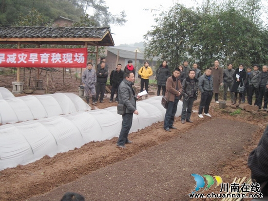 納溪區(qū)：四送給力計生助春耕(圖3)
