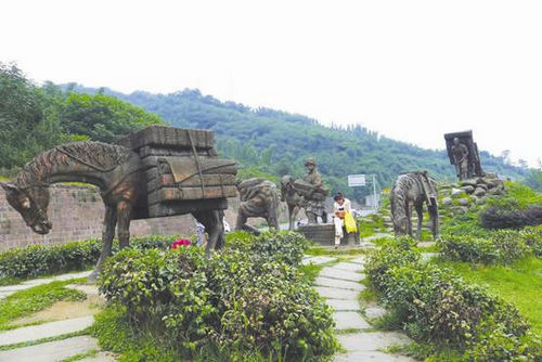 騎行有毒，我們已經(jīng)中毒太深(圖5)
