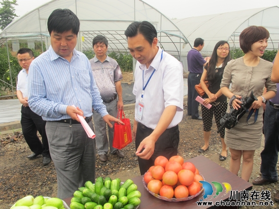 瀘州市人大常委會(huì)陳雁到特興鎮(zhèn)現(xiàn)代農(nóng)業(yè)園參觀考察(圖3)