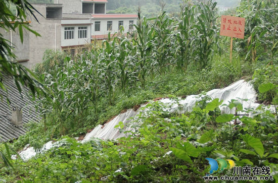 龍車鎮(zhèn)：暴雨致山土下滑 應急預案保平安(圖3)