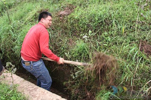 毗盧鎮(zhèn)：溝渠清淤 解百姓燃眉之急(圖1)