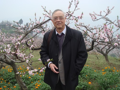 人物史學(xué)家陳世松 說瀘州神臂城和族譜文化(圖1)