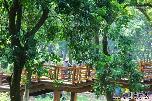 瀘州：張壩桂圓林旅游風景區(qū) 清明小長假引來旅游高峰(圖1)