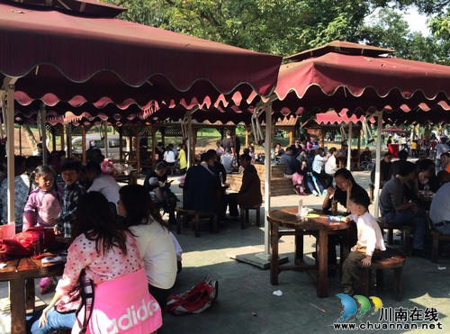 瀘州：張壩桂圓林旅游風景區(qū) 清明小長假引來旅游高峰(圖2)