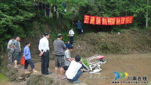五通鎮(zhèn)：政府當(dāng)紅娘 “鐵牛”嫁山區(qū)(圖1)