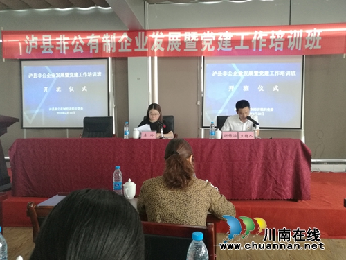 瀘縣非公黨委舉辦非公企業(yè)暨黨建工作培訓班(圖2)