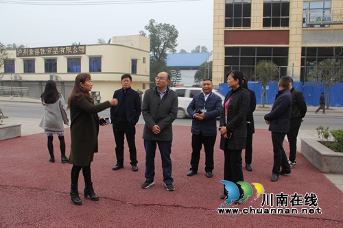 市委組織部副部長鄭勇到瀘縣云龍鎮(zhèn)調(diào)研基層黨建工作(圖3)