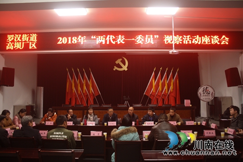 龍馬潭區(qū)羅漢街道：召開2018年“兩代表一委員”視察活動座談會(圖1)