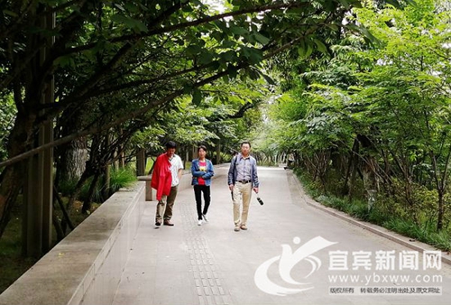 顏值高環(huán)境好 宜賓城區(qū)新建公園成市民游玩新寵(圖2)