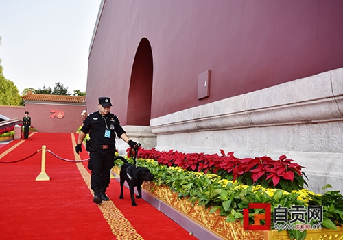 自貢民警攜警犬為國(guó)慶慶?；顒?dòng)保駕護(hù)航(圖2)