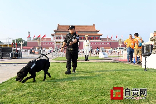 自貢民警攜警犬為國(guó)慶慶祝活動(dòng)保駕護(hù)航(圖3)