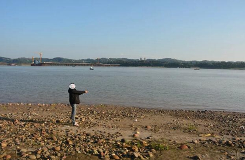 瀘州破獲一起非法獵捕珍貴、瀕危野生動物案(圖2)
