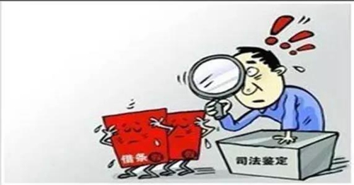 小伙兒情緒激動找到法官欲下跪，竟是因為……(圖4)