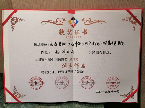 西南醫(yī)大中醫(yī)院作品獲中國醫(yī)影節(jié)金丹獎(jiǎng)(圖4)