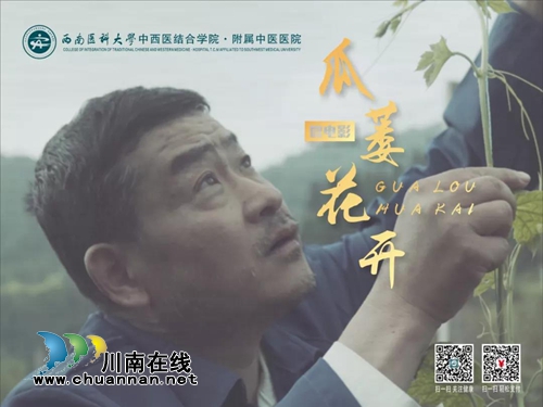 西南醫(yī)大中醫(yī)院作品獲中國醫(yī)影節(jié)金丹獎(jiǎng)(圖5)