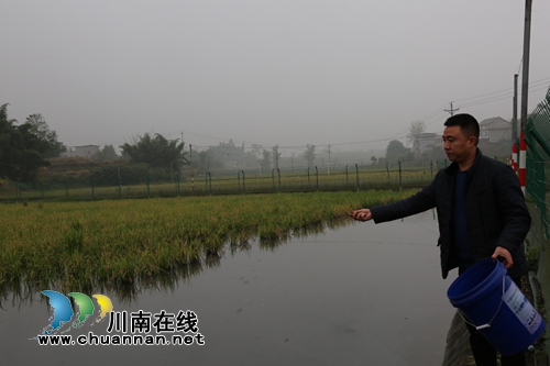 瀘縣機(jī)器超人劉世超：專(zhuān)業(yè)人做專(zhuān)業(yè)事帶人致富(圖3)