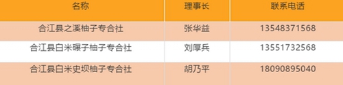 皮好剝?nèi)夂贸?nbsp;合江真龍柚今年賣到了澳大利亞
