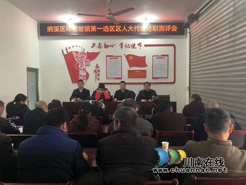 納溪區(qū)棉花坡鎮(zhèn)開展第一選區(qū)人大代表述職評(píng)議