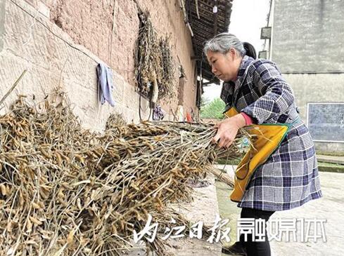 悉心照顧公婆十余載 內(nèi)江兒媳用行動(dòng)踐行孝道(圖2)
