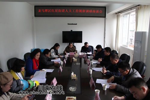 龍馬潭區(qū)紅星街道組織人大代表、政協(xié)委員開展視察調(diào)研活動(dòng)