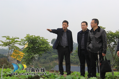 瀘縣云龍鎮(zhèn)鄉(xiāng)村振興示范創(chuàng)建完成市級(jí)現(xiàn)場(chǎng)迎檢