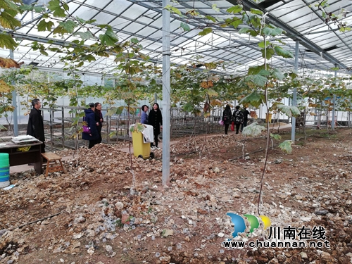 瀘州市自然資源和規(guī)劃局退休黨支部開展“不忘初心、牢記使命”主題教育走基層活動