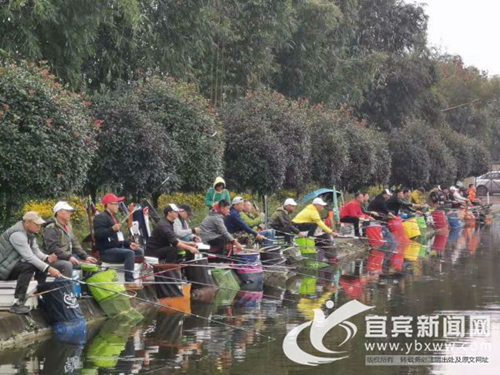 宜賓舉辦2019秋季釣魚比賽 109名釣魚愛好者現(xiàn)場切磋(圖1)