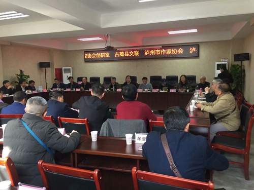報告文學《讓夢想起飛》作品研討會在瀘州舉辦(圖6)