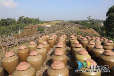 “藺沙溪”品牌創(chuàng)始人姜琳：誓讓古藺土特產(chǎn)走向全國(guó)！(圖26)