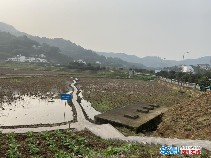 瀘州江陽(yáng)區(qū)：村民黨員成化解矛盾的“手”(圖2)