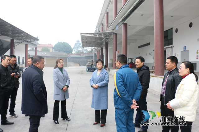 陳佳到瀘縣潮河鎮(zhèn)開展節(jié)前安全檢查(圖5)