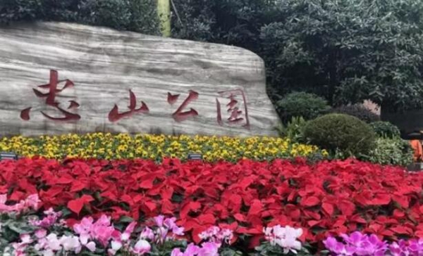 瀘州2020年春節(jié)氛圍營造工作已經(jīng)全部完成(圖1)