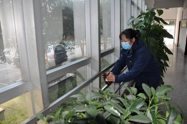 瀘州：火化遺體送葬車輛限2輛以內(nèi)、隨行喪屬不得超10人(圖5)