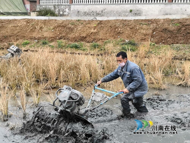 瀘縣戰(zhàn)疫情戰(zhàn)春耕兩不誤(圖3)