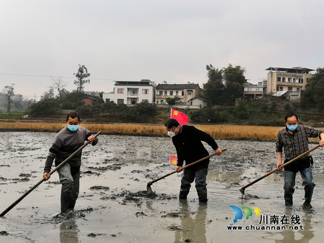 瀘縣戰(zhàn)疫情戰(zhàn)春耕兩不誤(圖1)