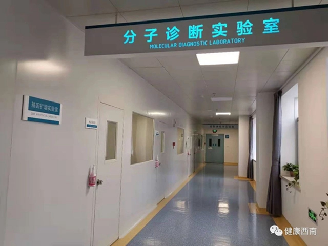 【直擊】4小時左右可出檢測結(jié)果 西南醫(yī)科大學附屬醫(yī)院新冠狀病毒檢測實驗室日檢測最大能力360人份