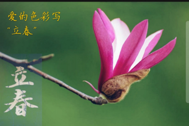 春回大地新，以微薄之力續(xù)戰(zhàn)“疫”