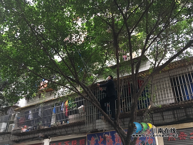 江陽(yáng)區(qū)北城街道：彩鋼棚飛成隱患，社區(qū)出面忙排除