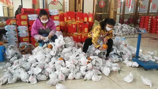 痛心！宜賓這里百萬斤柑橘滯銷！“求帶走！”(圖9)