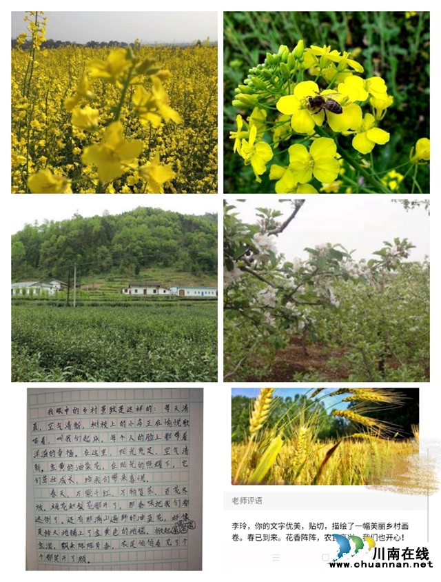 瀘縣城北小學(xué)校教師龐華：溫暖的“百變超人”(圖4)