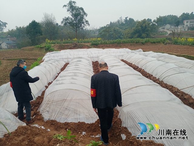 瀘縣云龍鎮(zhèn)：硬核管理再升級(jí) 堅(jiān)決打贏疫情防控殲滅戰(zhàn)(圖10)