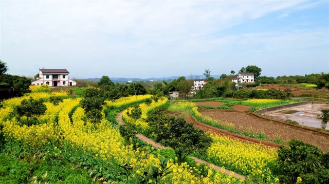 再訪雙加，悲傷而艱難地自愈(圖2)