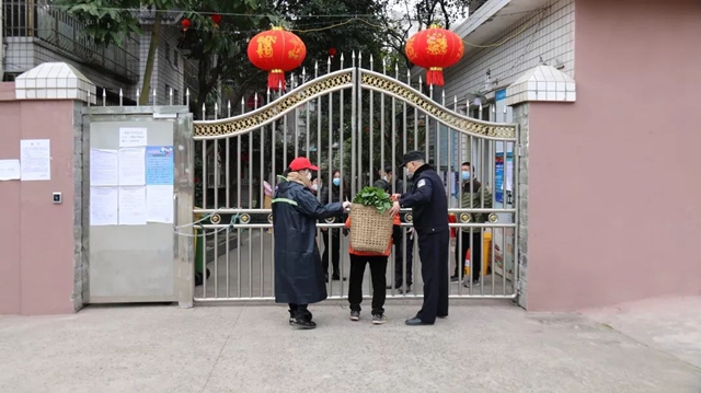 再訪雙加，悲傷而艱難地自愈(圖11)