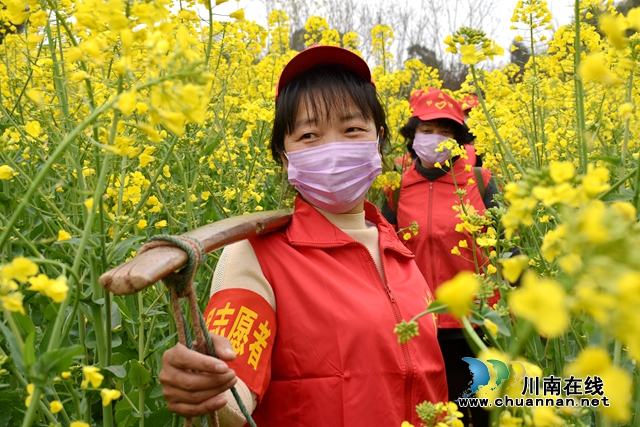 瀘州納溪：愛心志愿者助農(nóng) 云溪花香伴春耕(圖1)