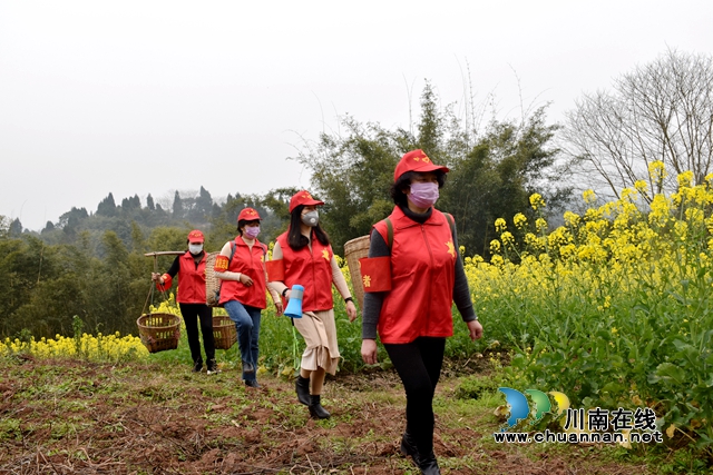 瀘州納溪：愛心志愿者助農(nóng) 云溪花香伴春耕(圖2)