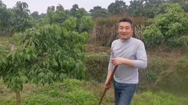 合江荔農(nóng)：不負(fù)春光勤勞作，守望七月荔枝紅(圖4)