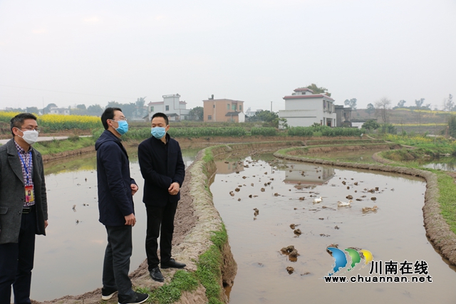 張福榮到瀘縣潮河鎮(zhèn)督導(dǎo)疫情防控、脫貧攻堅等重點(diǎn)工作(圖1)
