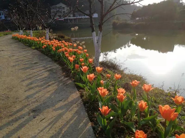 2月29日起，宜賓這些A級景區(qū)恢復開園！前往游玩有這些要求(圖3)
