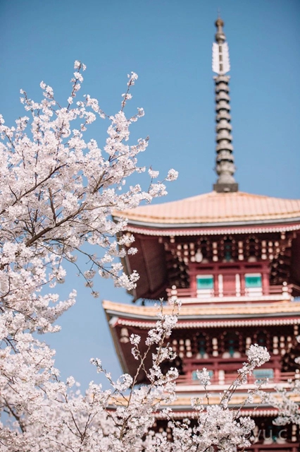 【西南醫(yī)大中醫(yī)院?科普】驚蟄來了，病菌又將活躍(圖7)