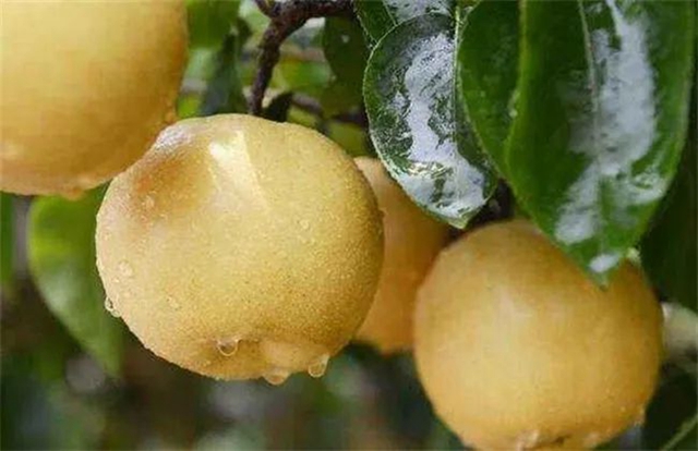 【西南醫(yī)大中醫(yī)院?科普】驚蟄來了，病菌又將活躍(圖2)